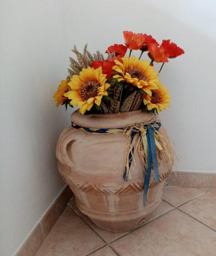 Piccione Marittimo Appartamento Vicinanze Mare 리보르노 외부 사진